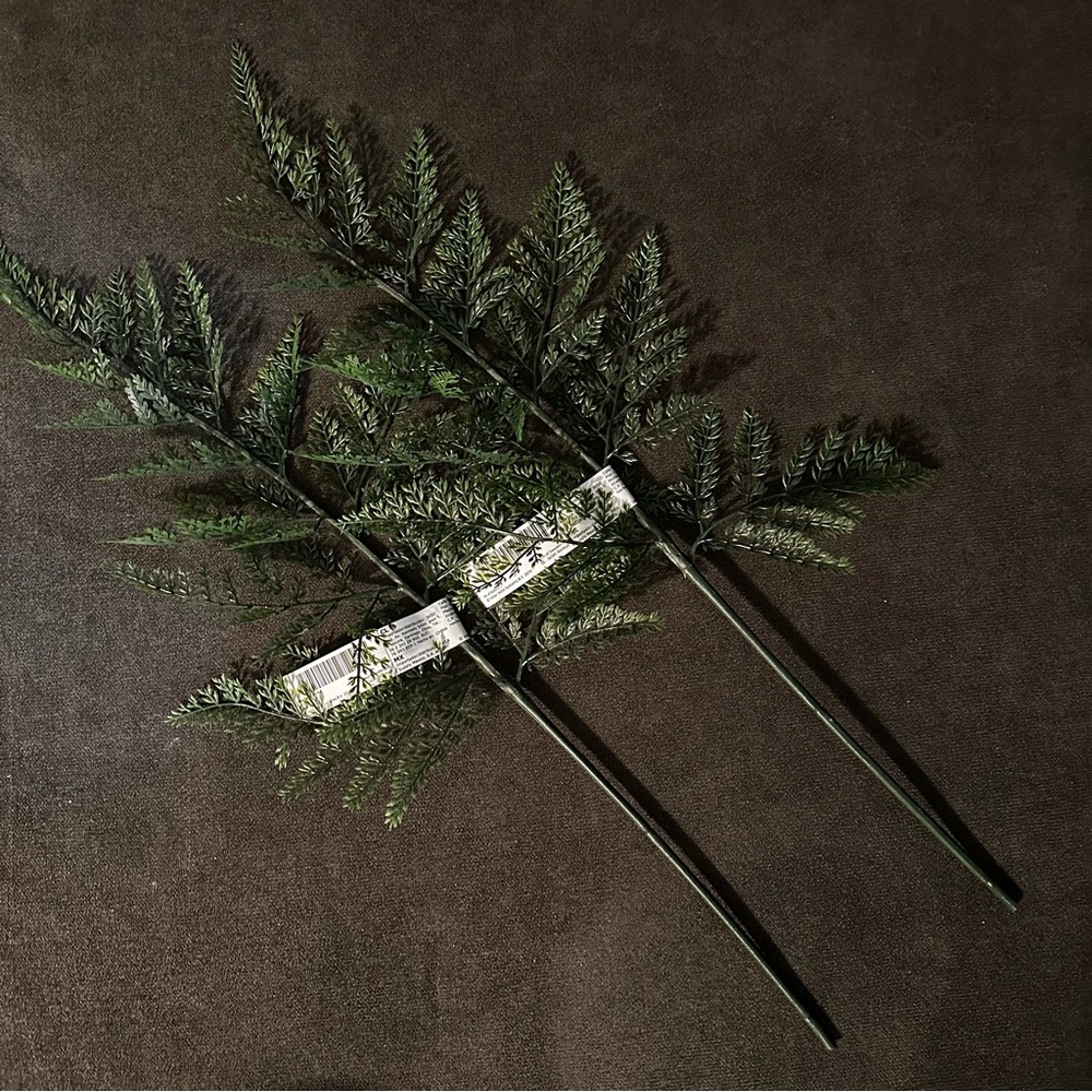 2 greenery stems 21” long